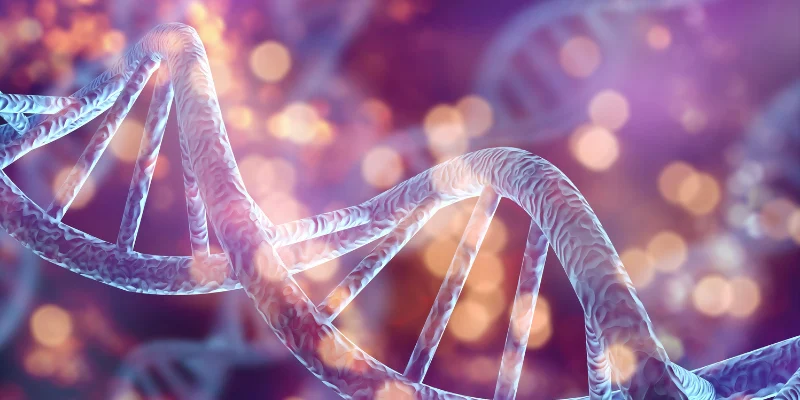 How Minoxidil Actually Works on Your Hair