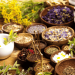 Ayurvedic Herbs