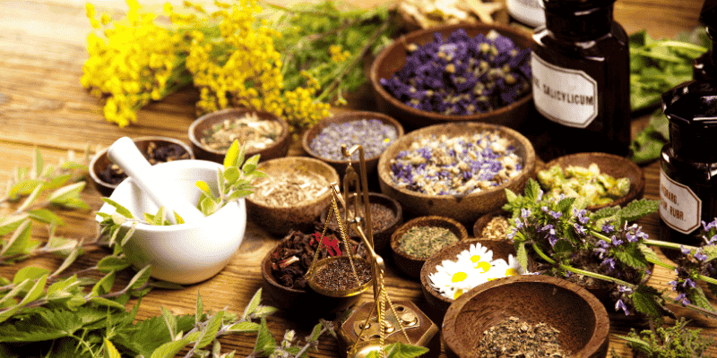 Ayurvedic Herbs