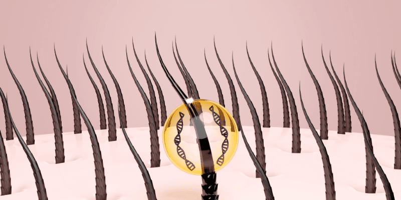 What Hair Follicles Go Through at Night